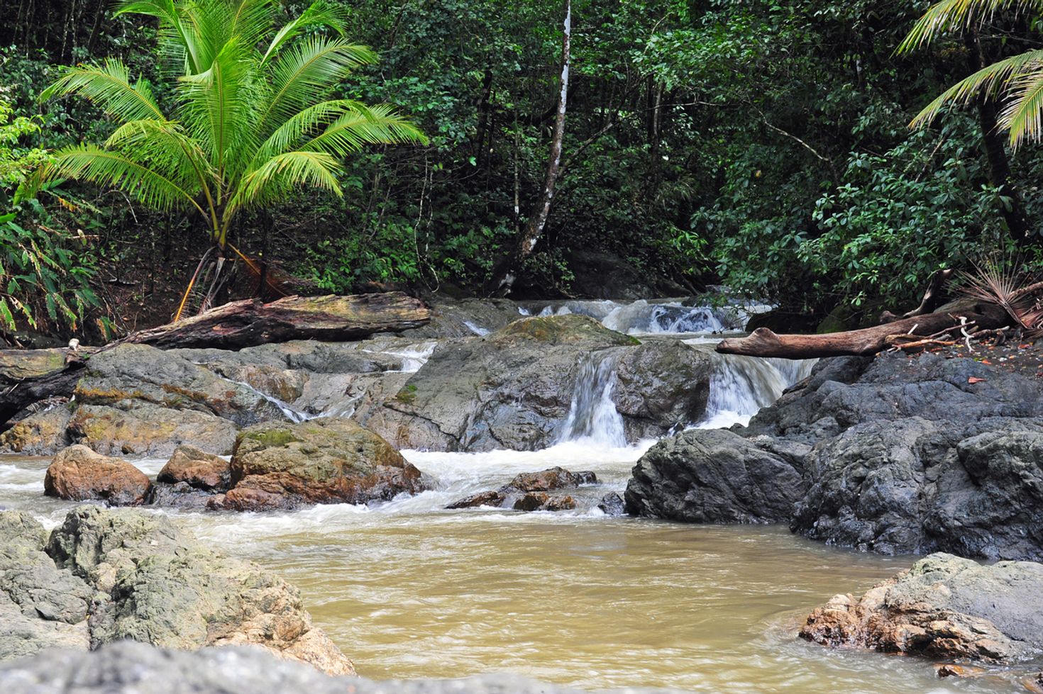 Corcovado National Park in Costa Rica