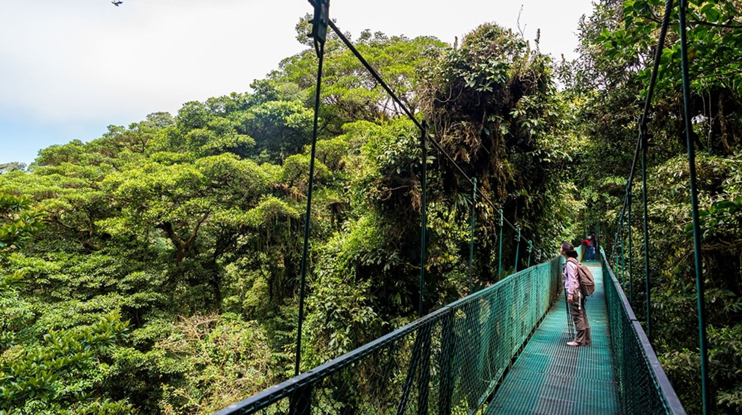 A hanging bridge in Monteverde National Park in Costa Rica