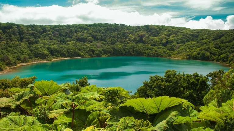 National parks in Costa Rica have the richest concentration of biodiversity.