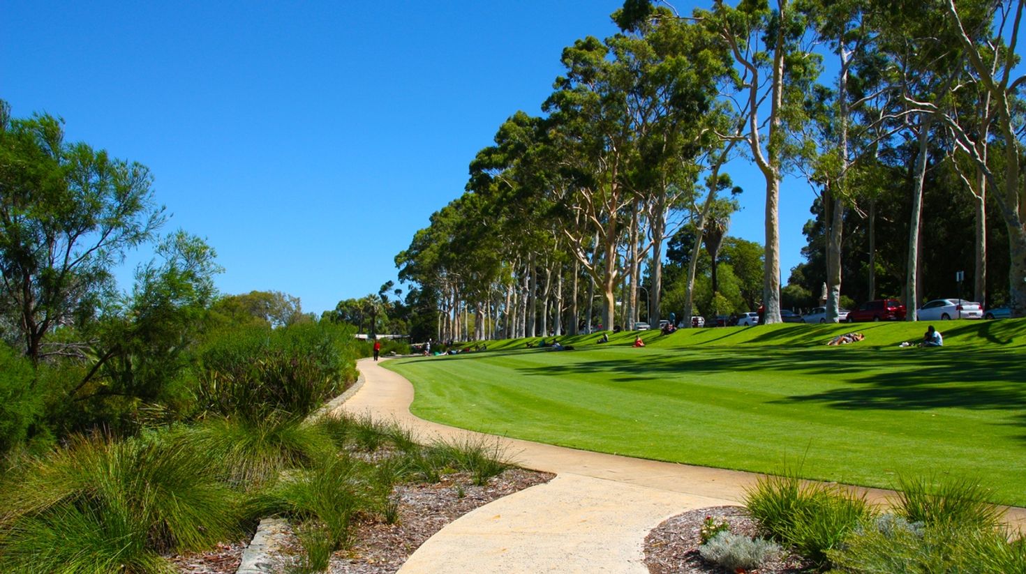 Things to do in Perth Kings Park