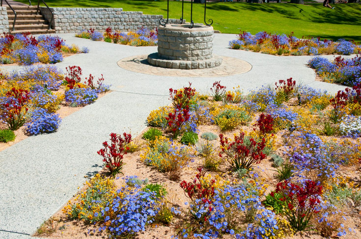 Things to do in Perth King's Park Botanical Garden