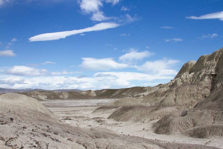 La Leona Petrified Forest in El Calafate