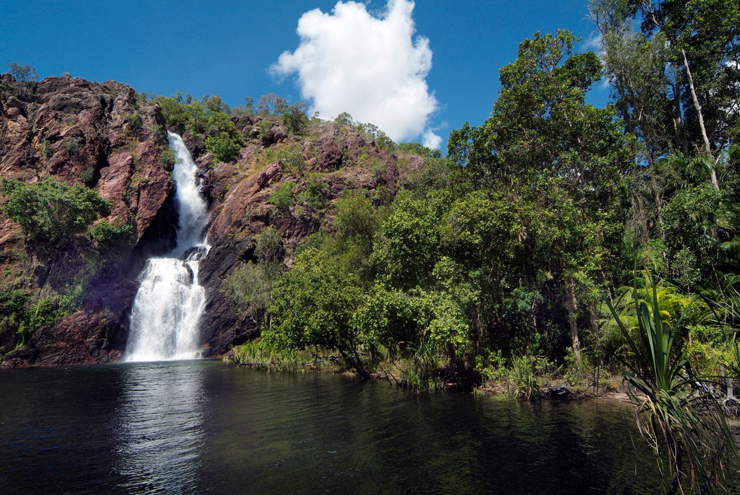 On a honeymoon in Australia, Darwin