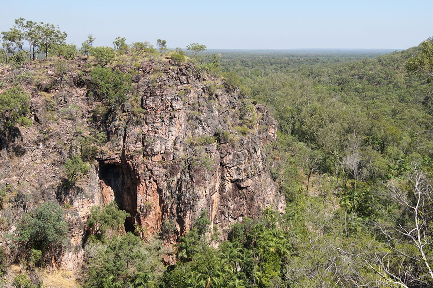 View of Litchfield National Park