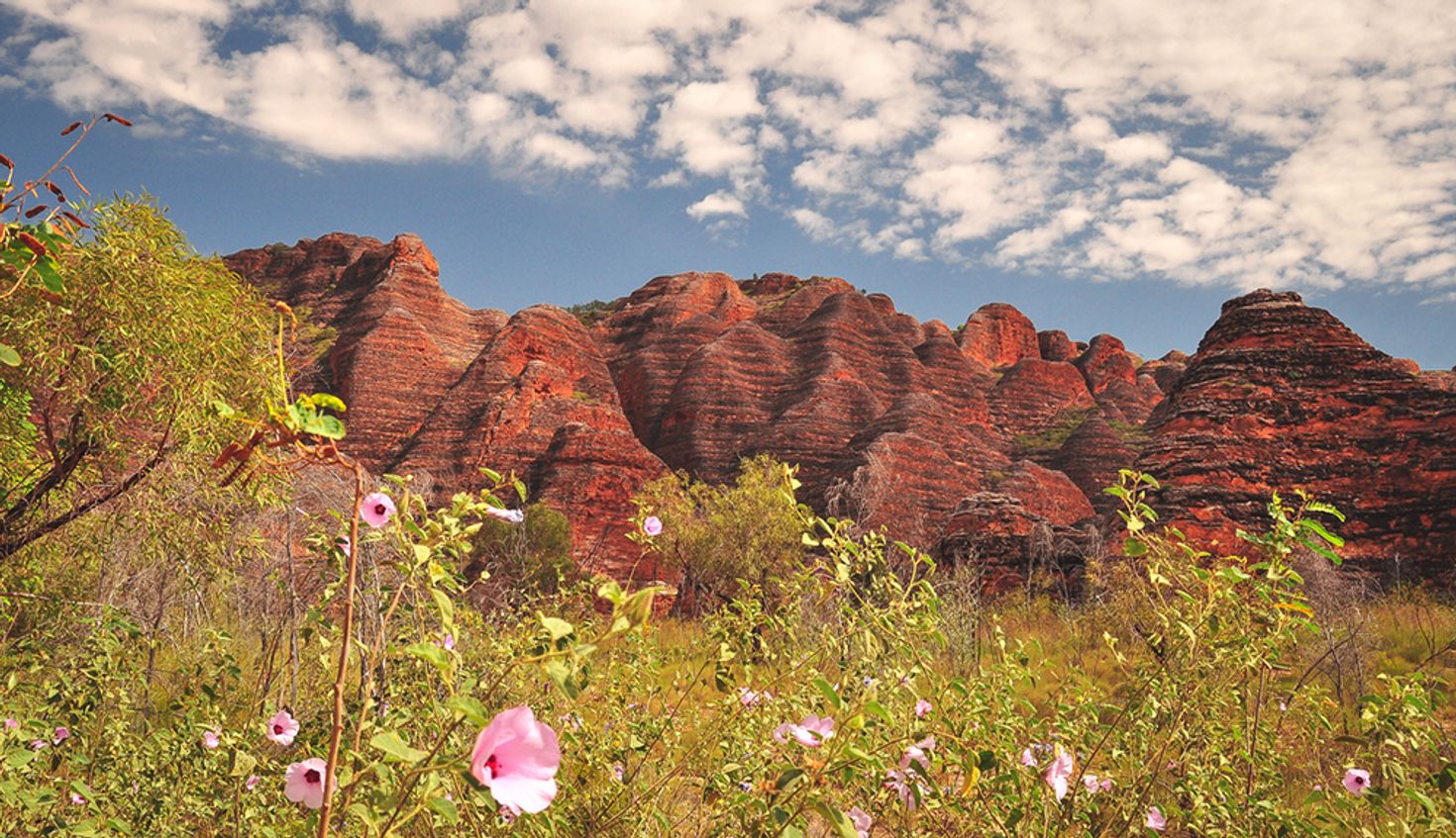 Besides the monuments, you can also discover the native wildlife.