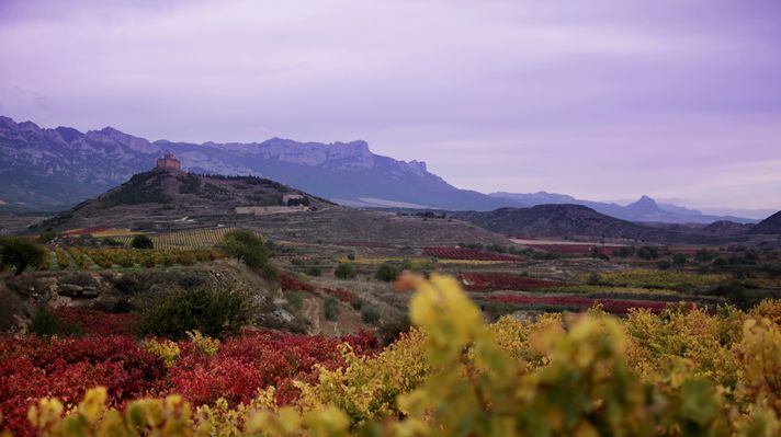 Vivanco winery in Rioja