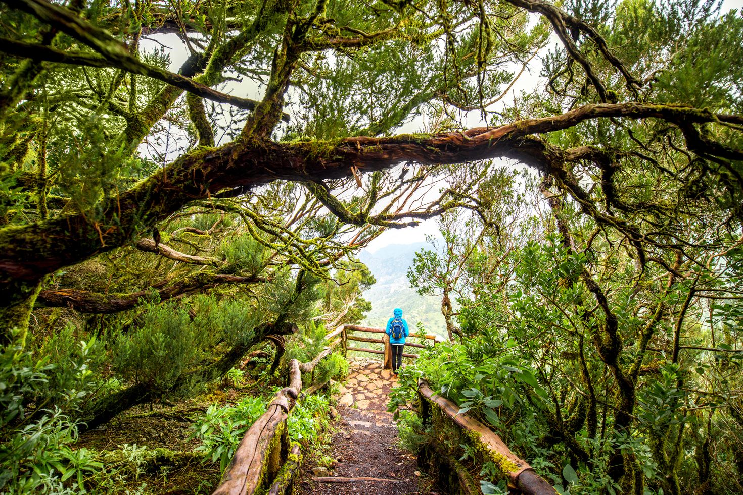 La Gomera in Canary Islands