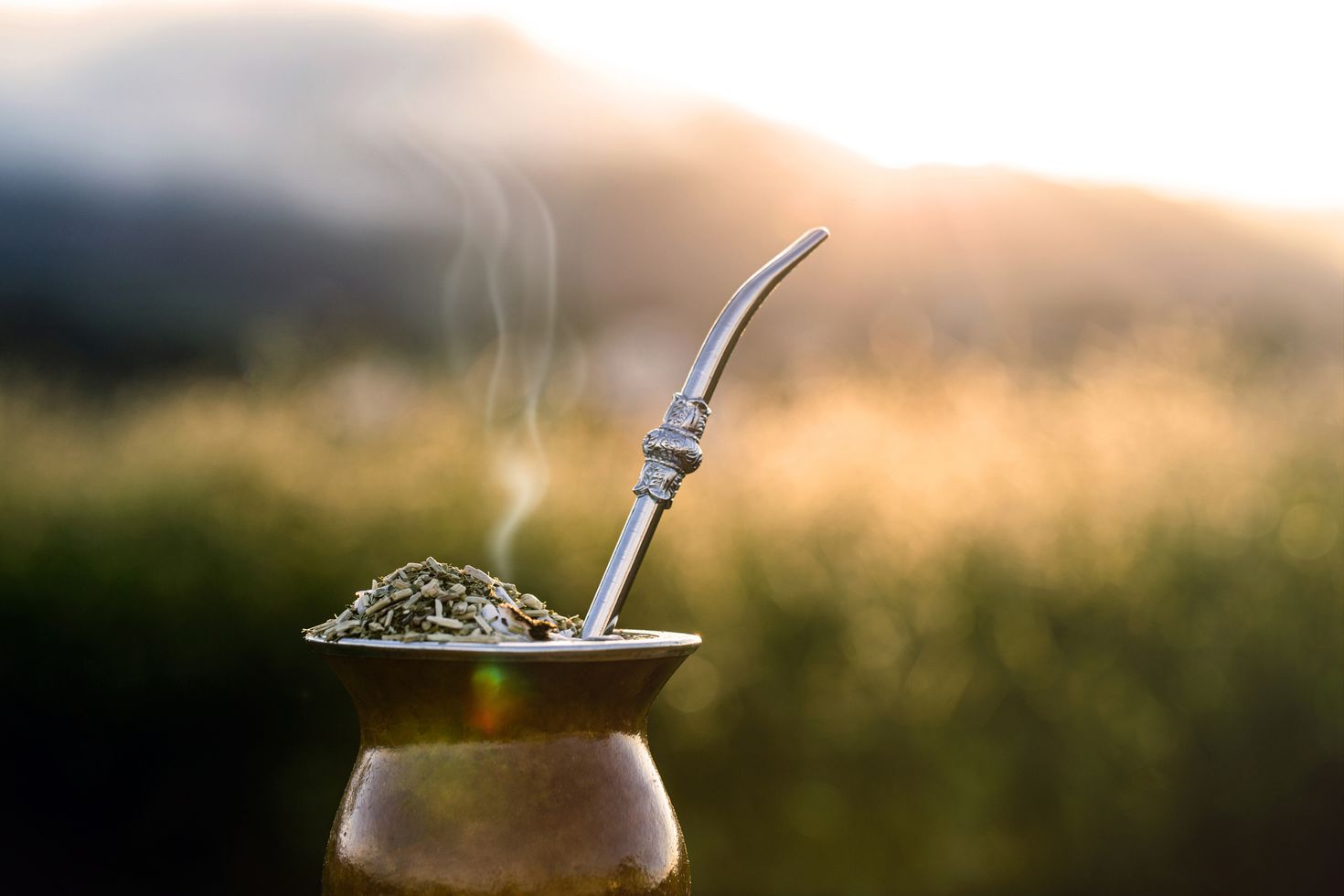 Mate Gourd at Argentina