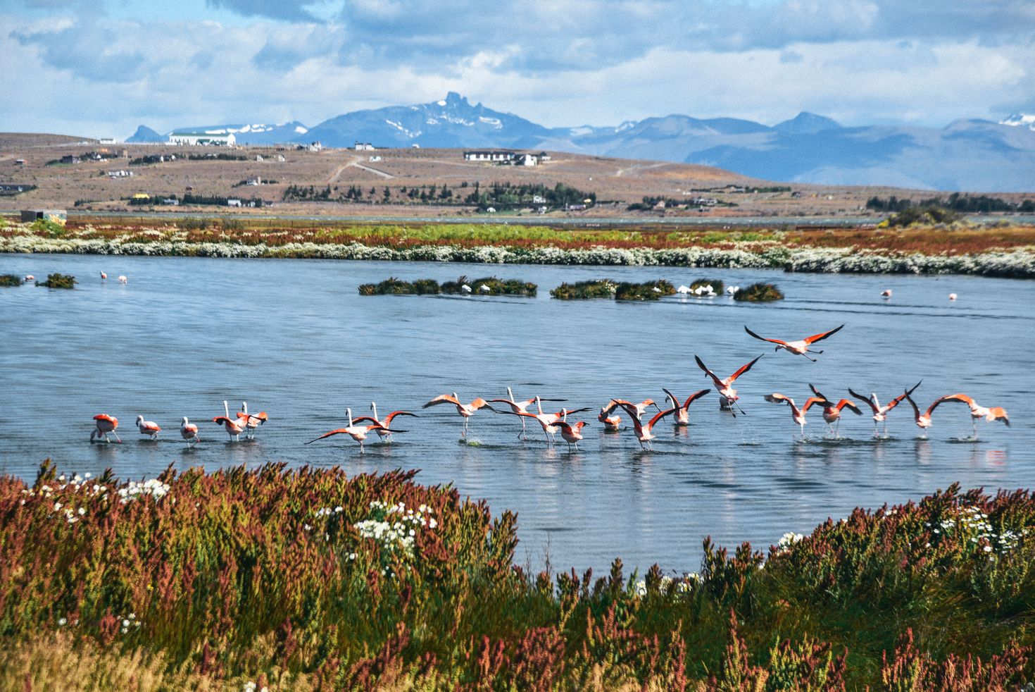 Laguna Nimez Reserve in El Calafate
