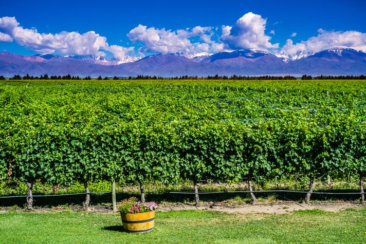 Mendoza in Argentina is a must visit place