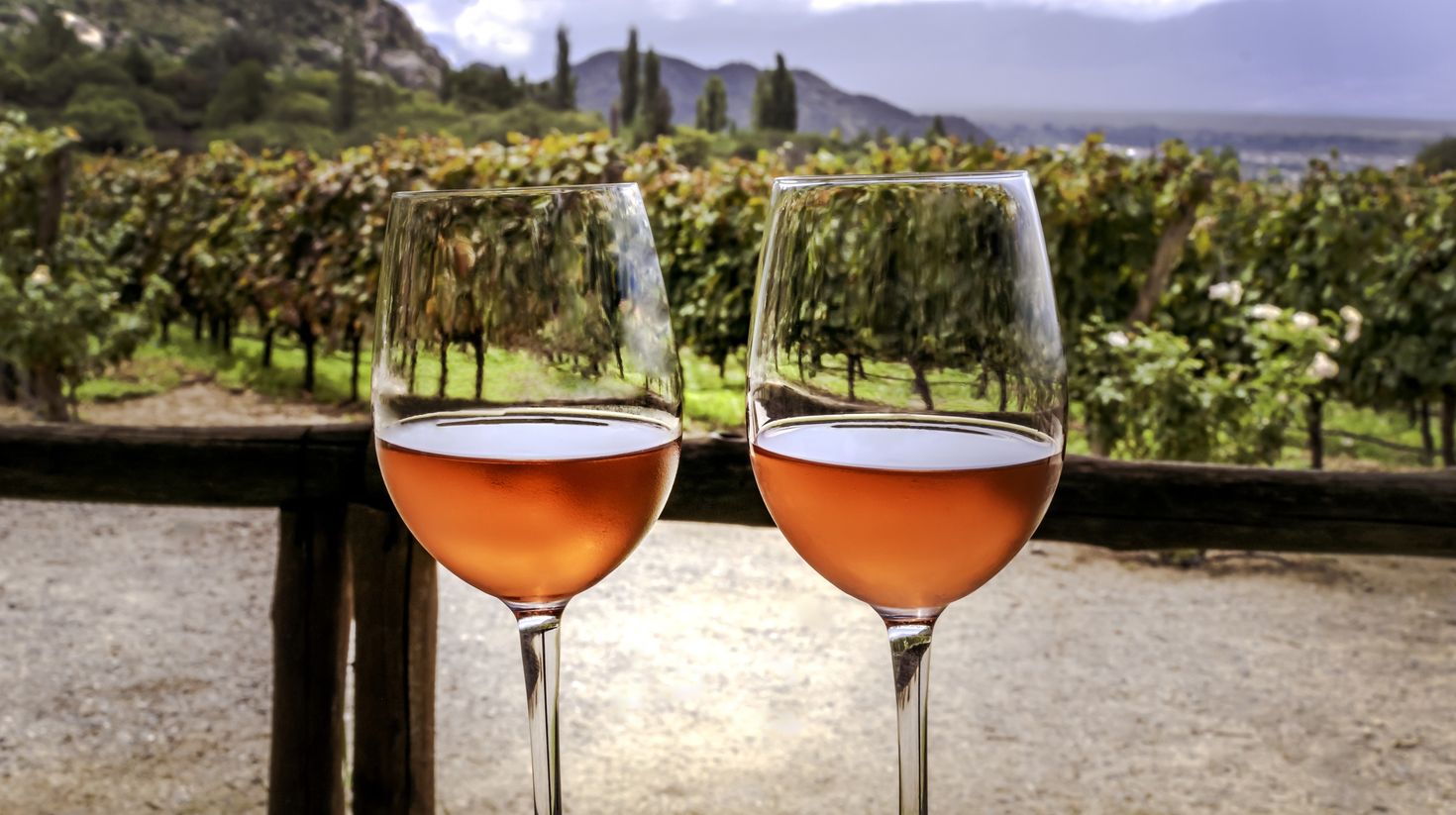 Two glasses of rose wine with a vineyard of Cafayate in Salta, Argentina.