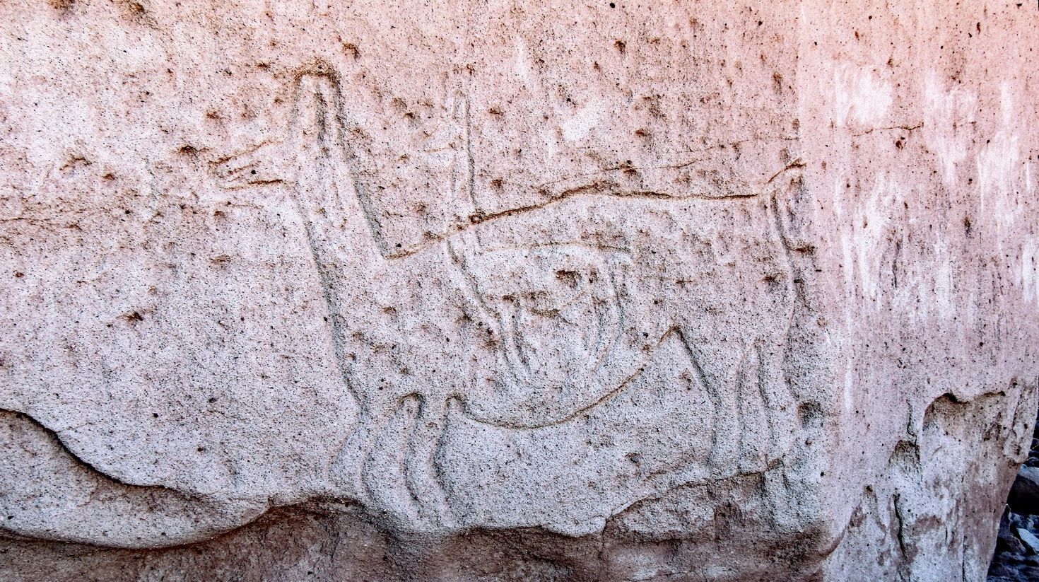 Rock Carvings in Atacama