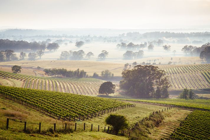 honeymoon in Australia Hunter Valley