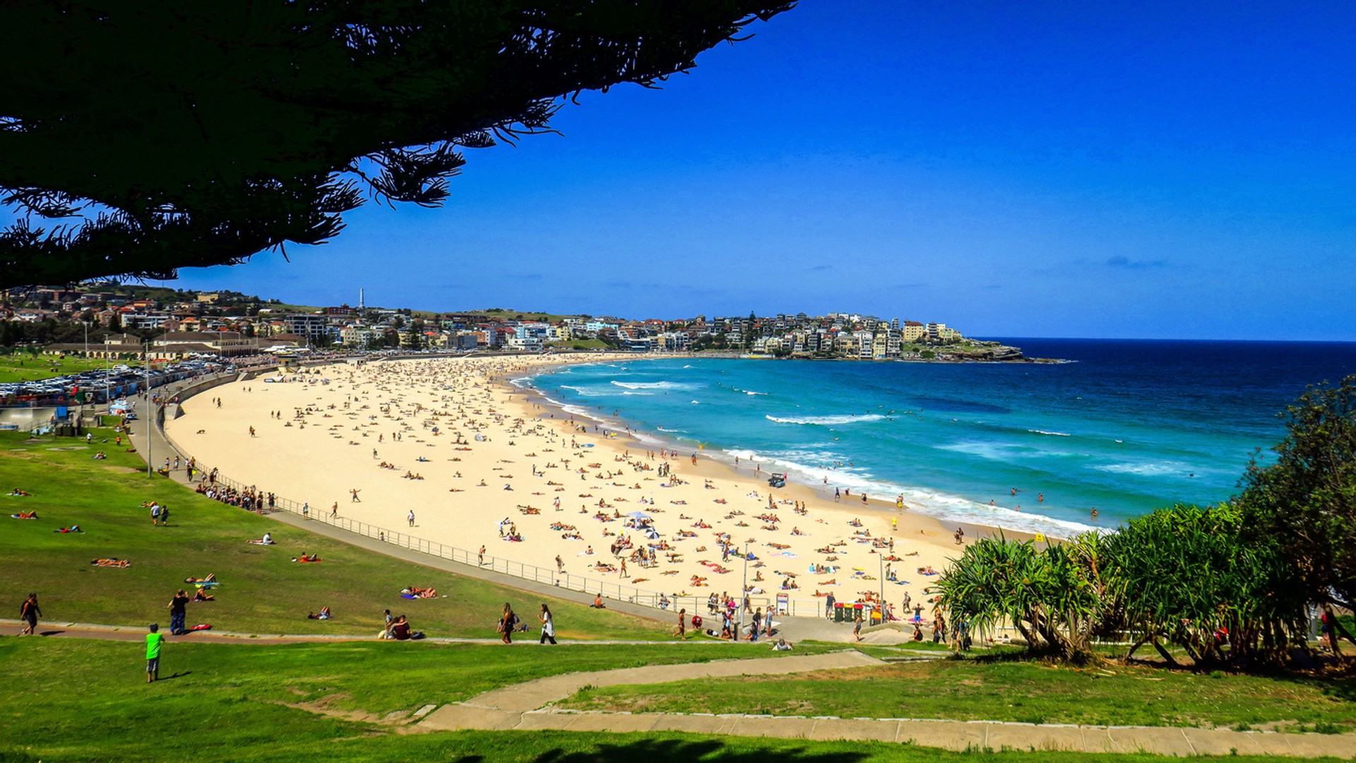 Bondi is the most popular beach destination in Sydney. Bondi beach is one of the best beaches in Australia located in the prime destination in Sydney