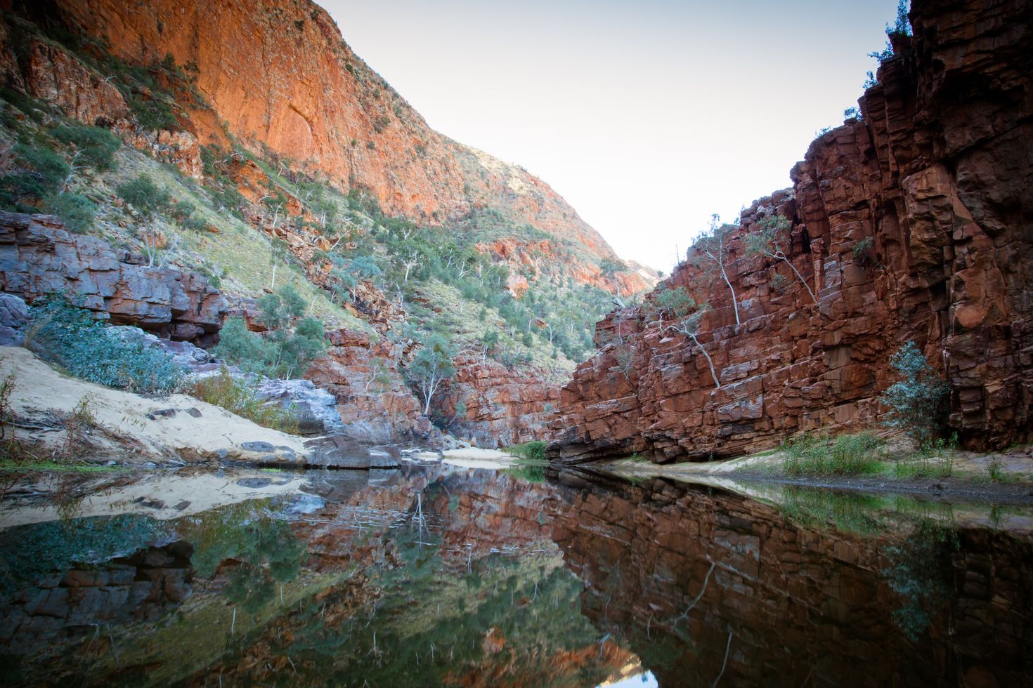The view of Ormiston Gorge in the West MacDonnell Ranges