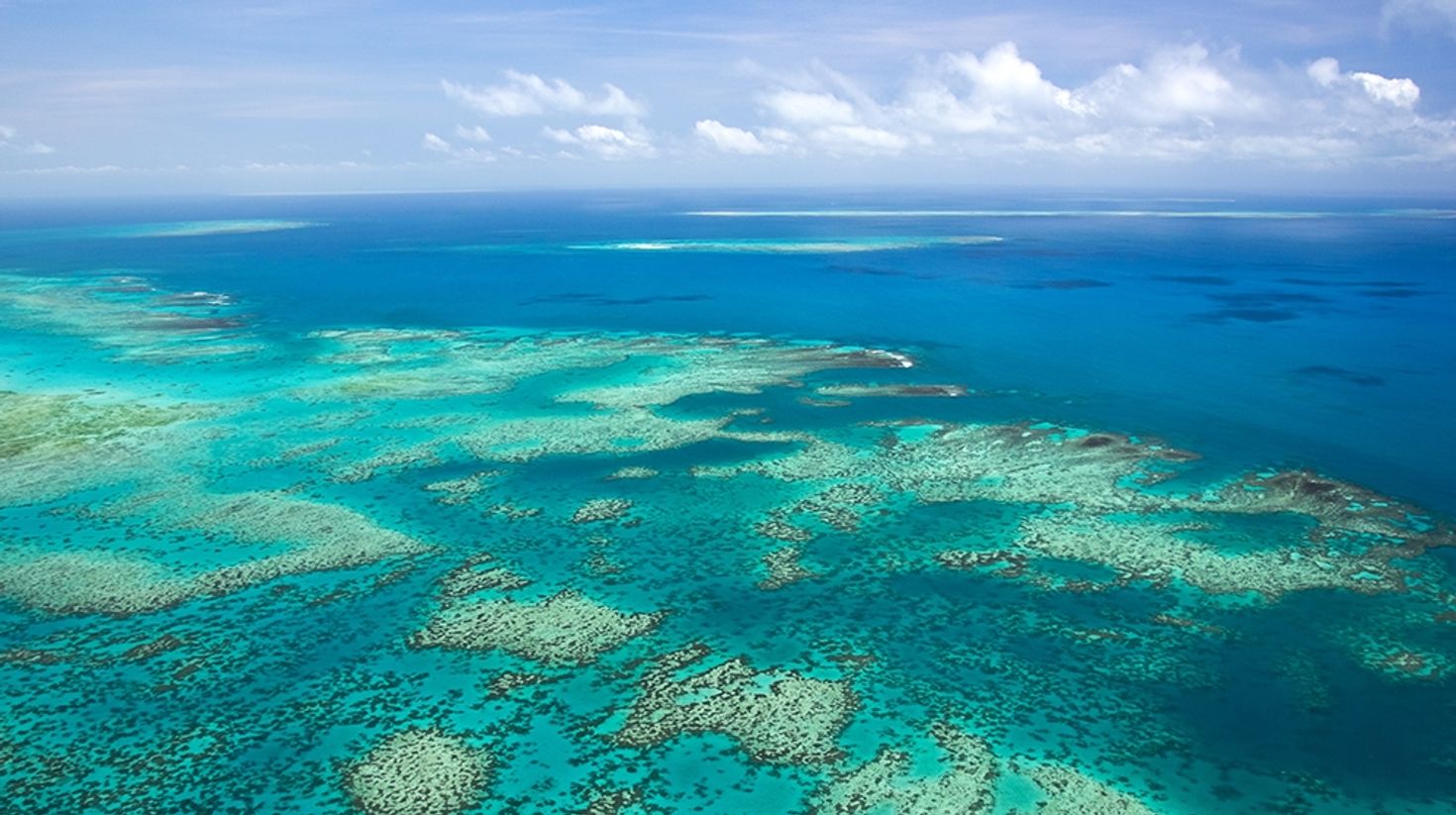 In an Australia itinerary, visit the Great Barrier Reef