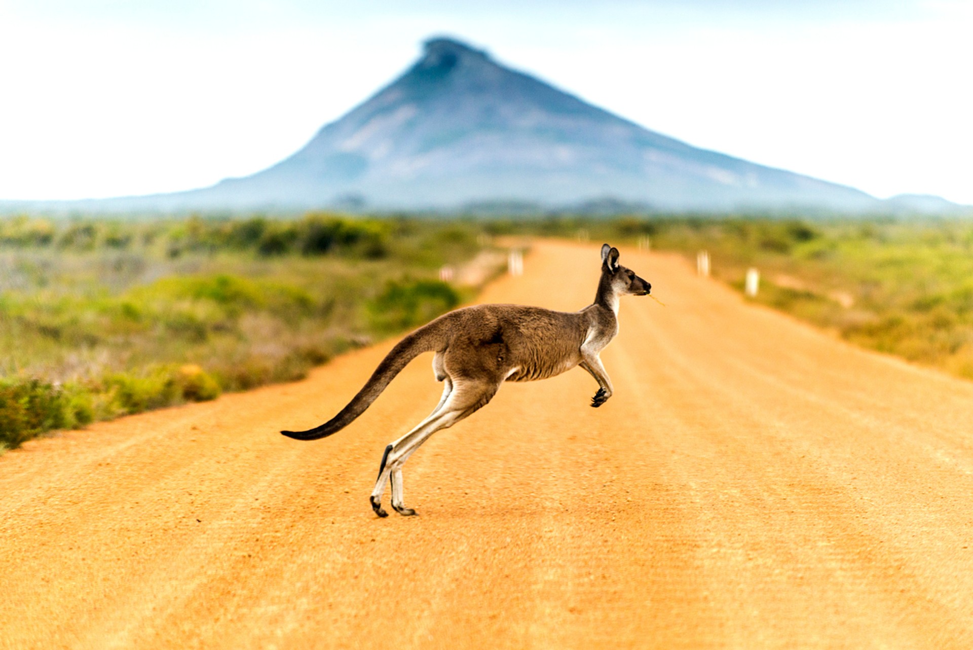 What to Do in Australia