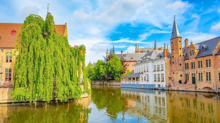 A large weeping willow drapes over the water, lined with historic brick buildings in Bruges, Belgium in April.