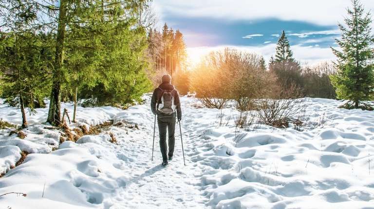 A man walks along the snowy forest trail with poles on a sunny winter day in Belgium in winter.