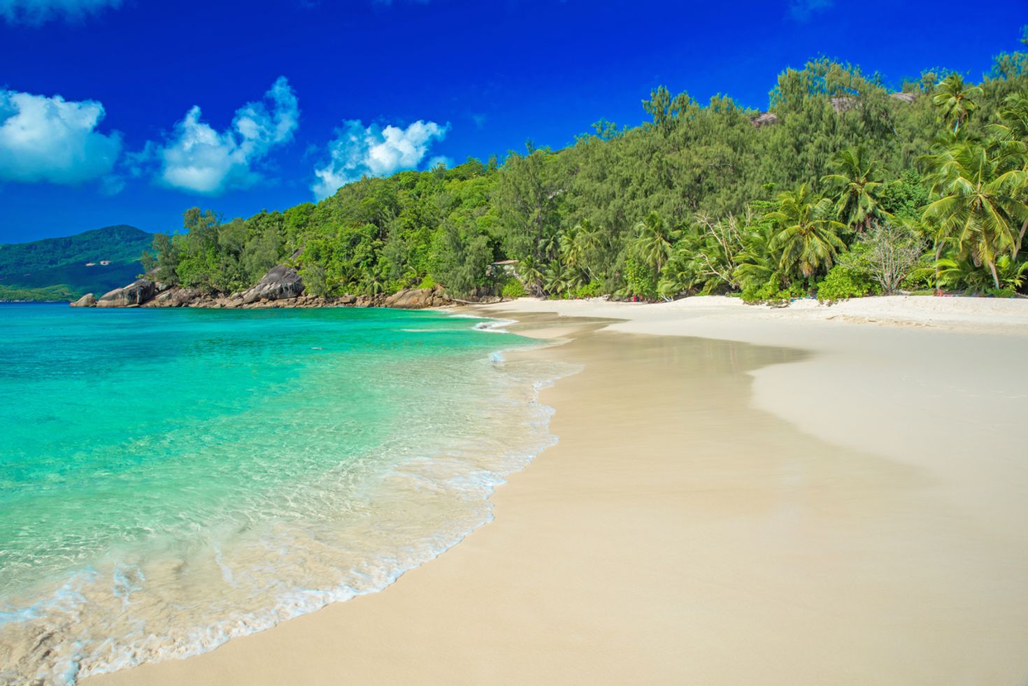waves pulling up on the beach with dense trees in the background at Anse Soleil beach during the day.