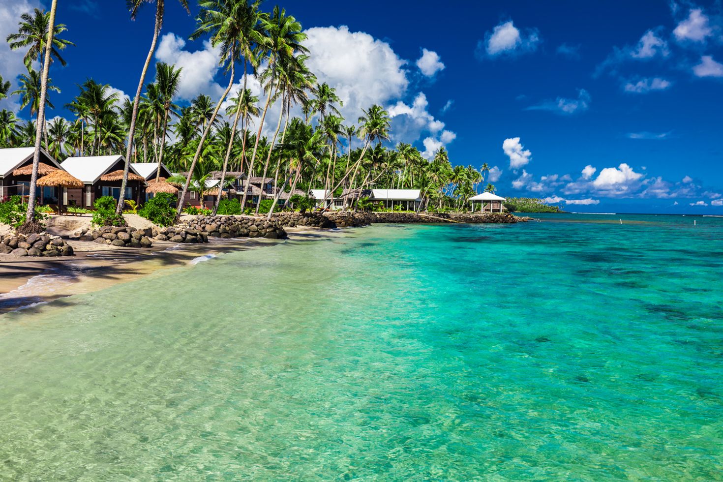 Lines of trees and houses aligned overlooking the ocean at Lalomanu beach in Samoa. 
