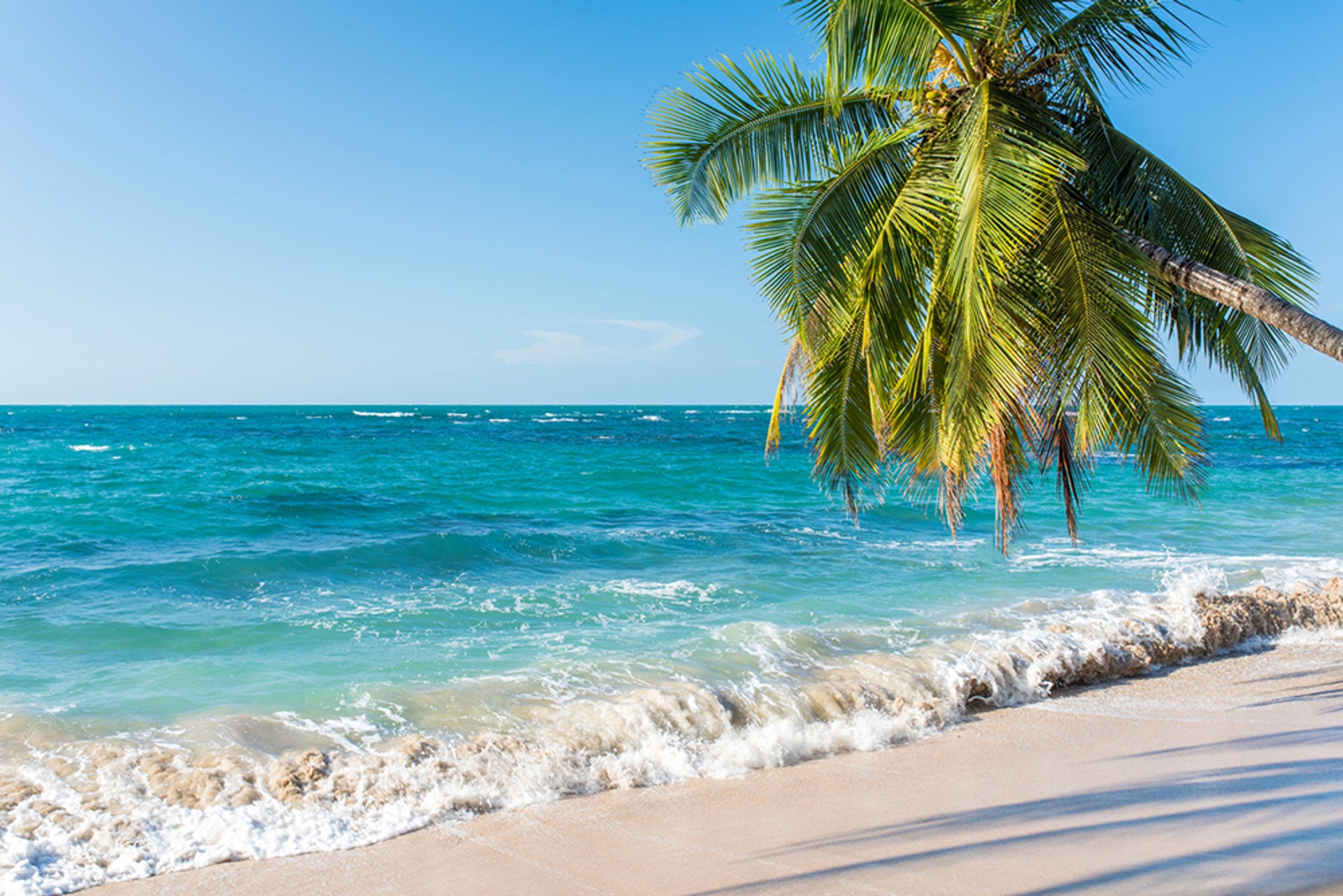 Costa Rica, meaning 'rich coast', has countless stunning beaches Sunny beach with turquoise sea and blue sky in Costa Rica
