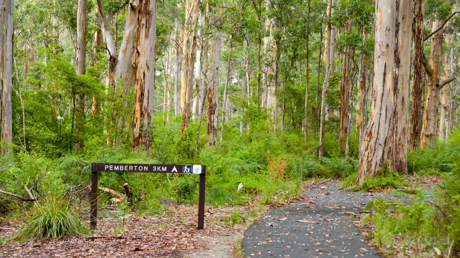  This trail ranges over 1000 km of undeveloped wildlands, ranging from eucalyptus forests to bushlands to coastal cliffs, so the name is well earned.