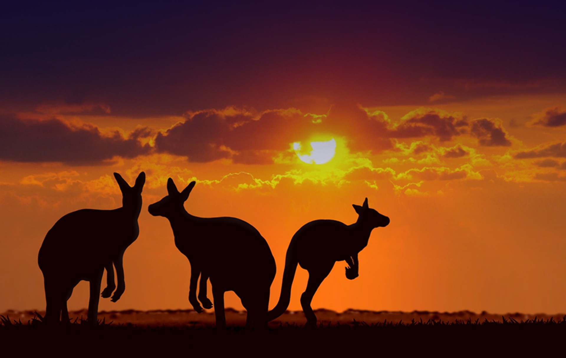 An Aussie outback adventure is the best way to discover the natural wonders of the country. The Australian outback maybe a harsh, dry land but it is nothing short of exquisite filled with exotic landscapes, starry night skies and native wildlife.