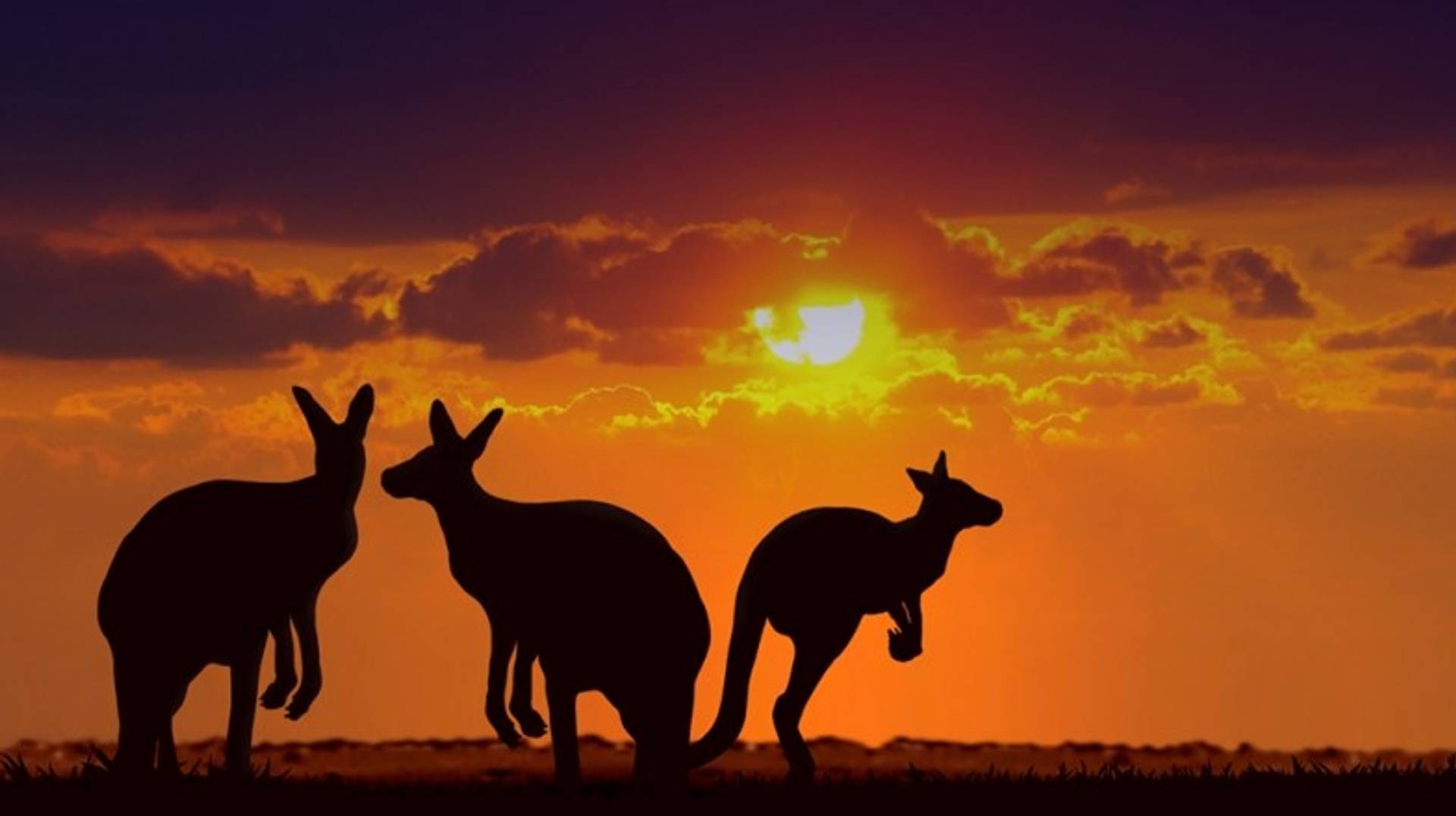 8 Best Destinations in the Australian Outback