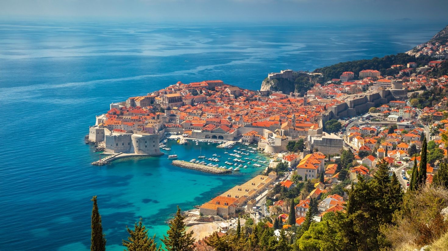 Houses and trees in Dubrovnik overlooking the sea on a clear day.  