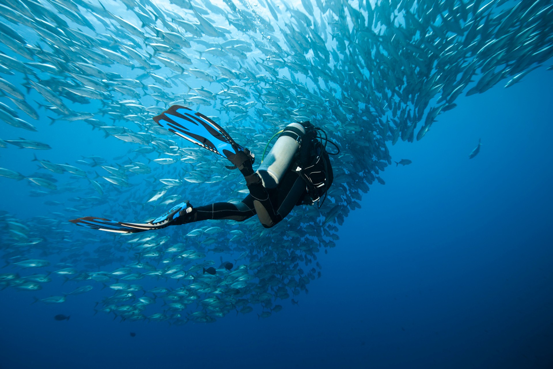 Find a list of the best dive sites in the world.