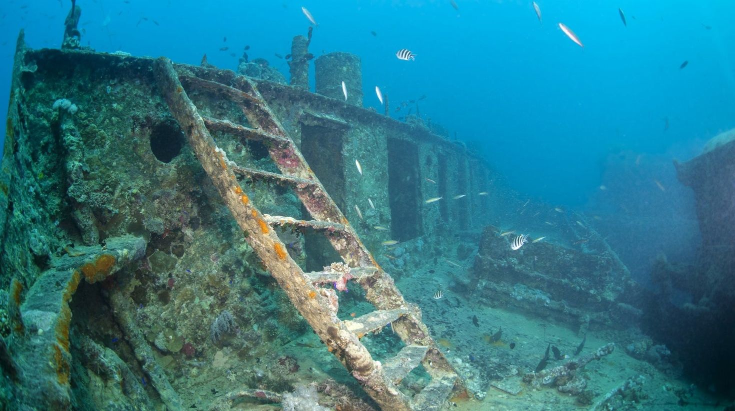 The SS Yongala is one of the best dive sites for shipwrecks.