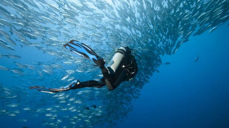Find a list of the best dive sites in the world.