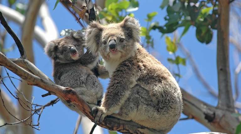 6 Best National Parks in Australia to Visit