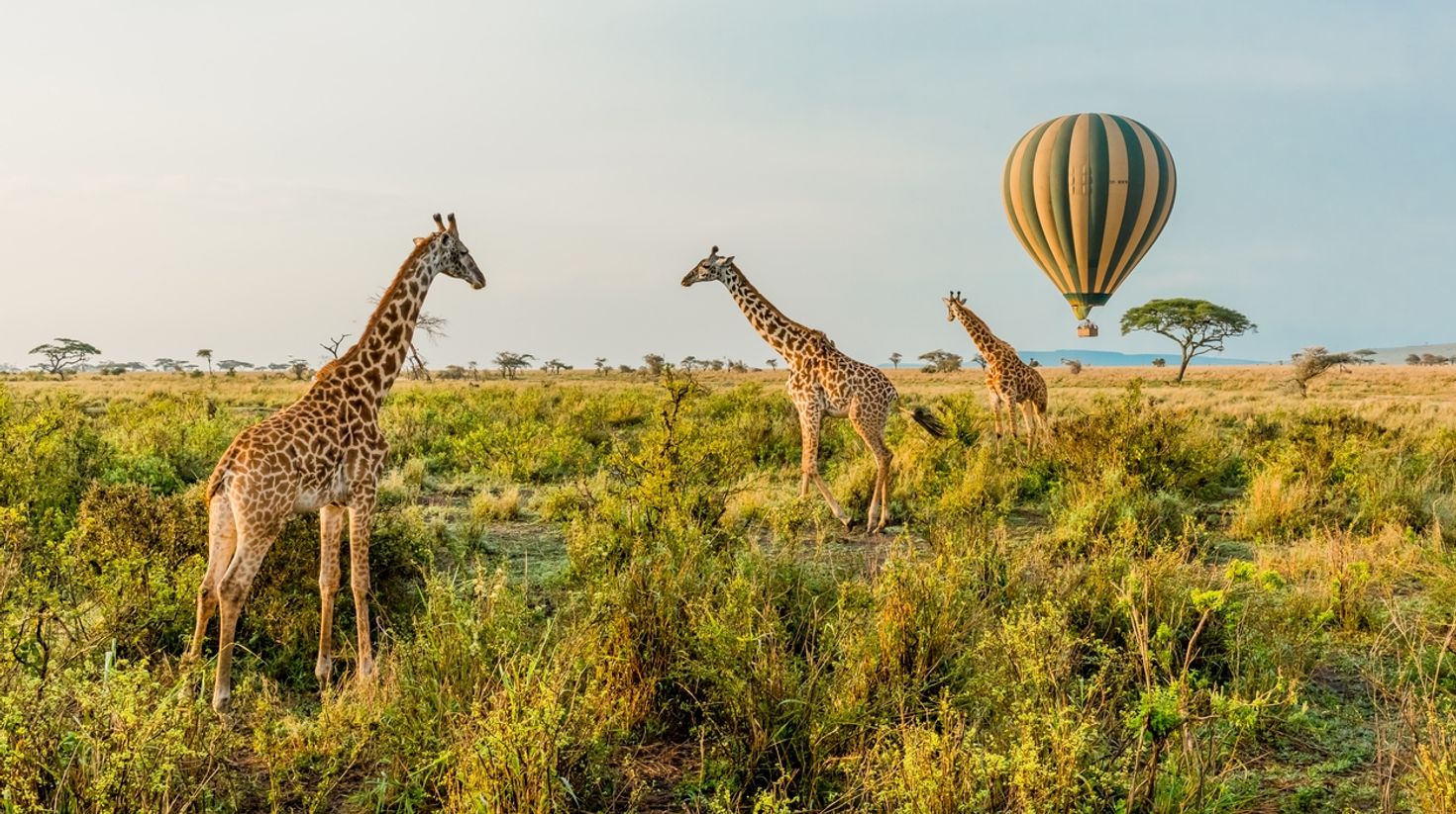 Tanzania is where adventure and eco-tourism come together.