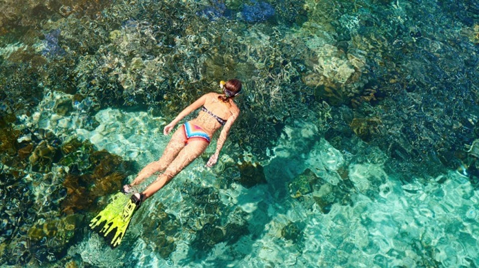 7 Best Places for Diving in Costa Rica