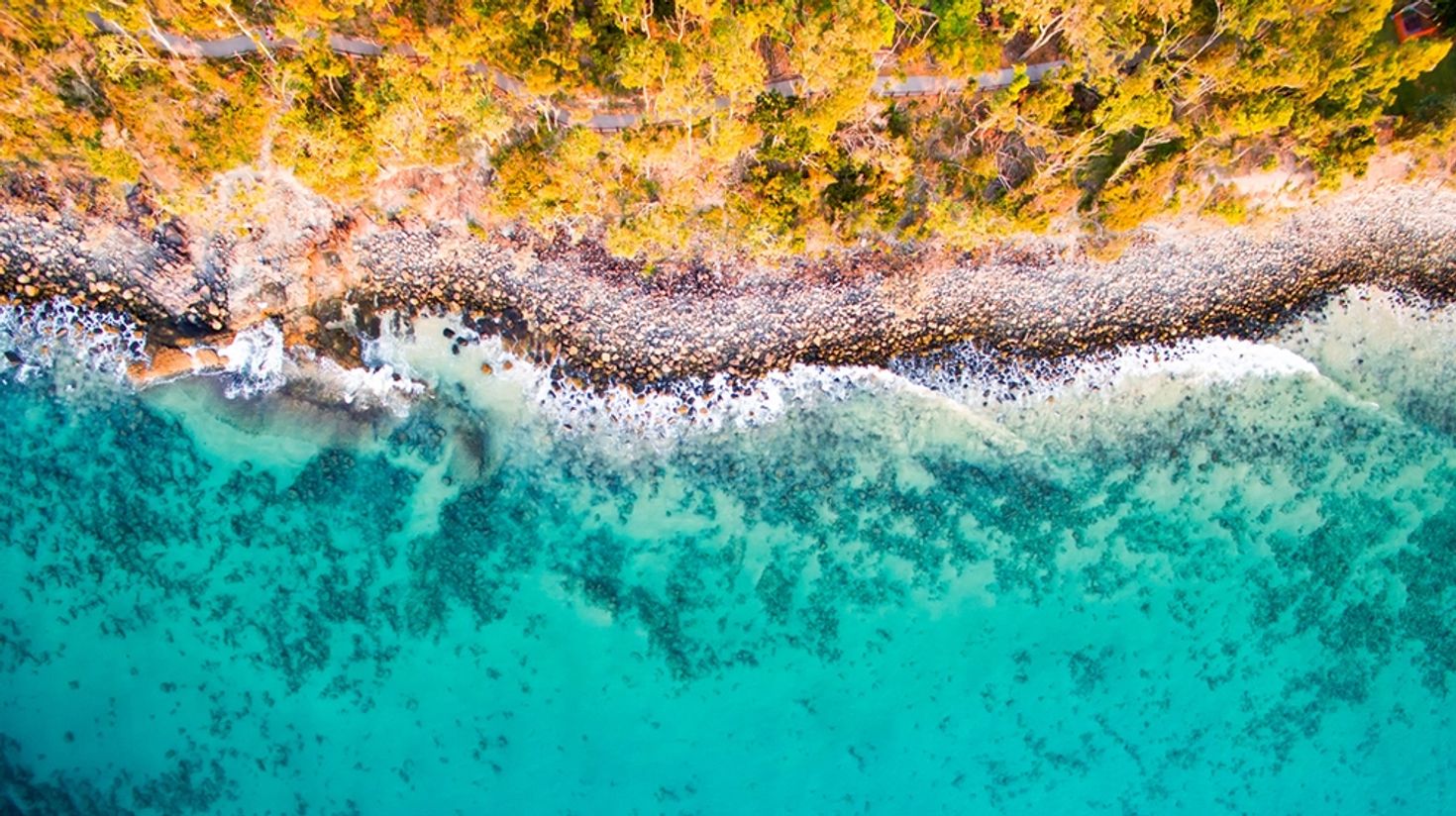 You can find numerous breaks in the beaches of Noosa Heads