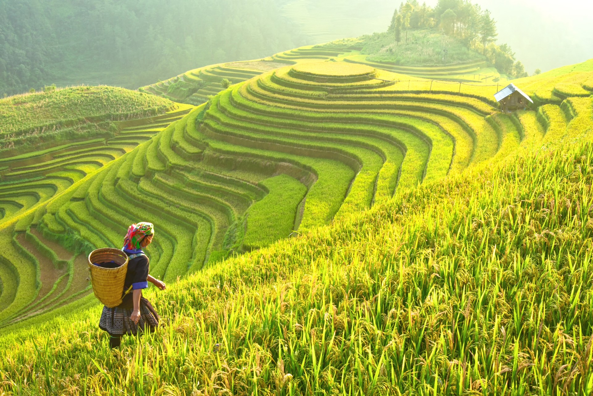 Asia has some of the best places to travel to. From green rice fields to bustling modern cities, Asia has it all.