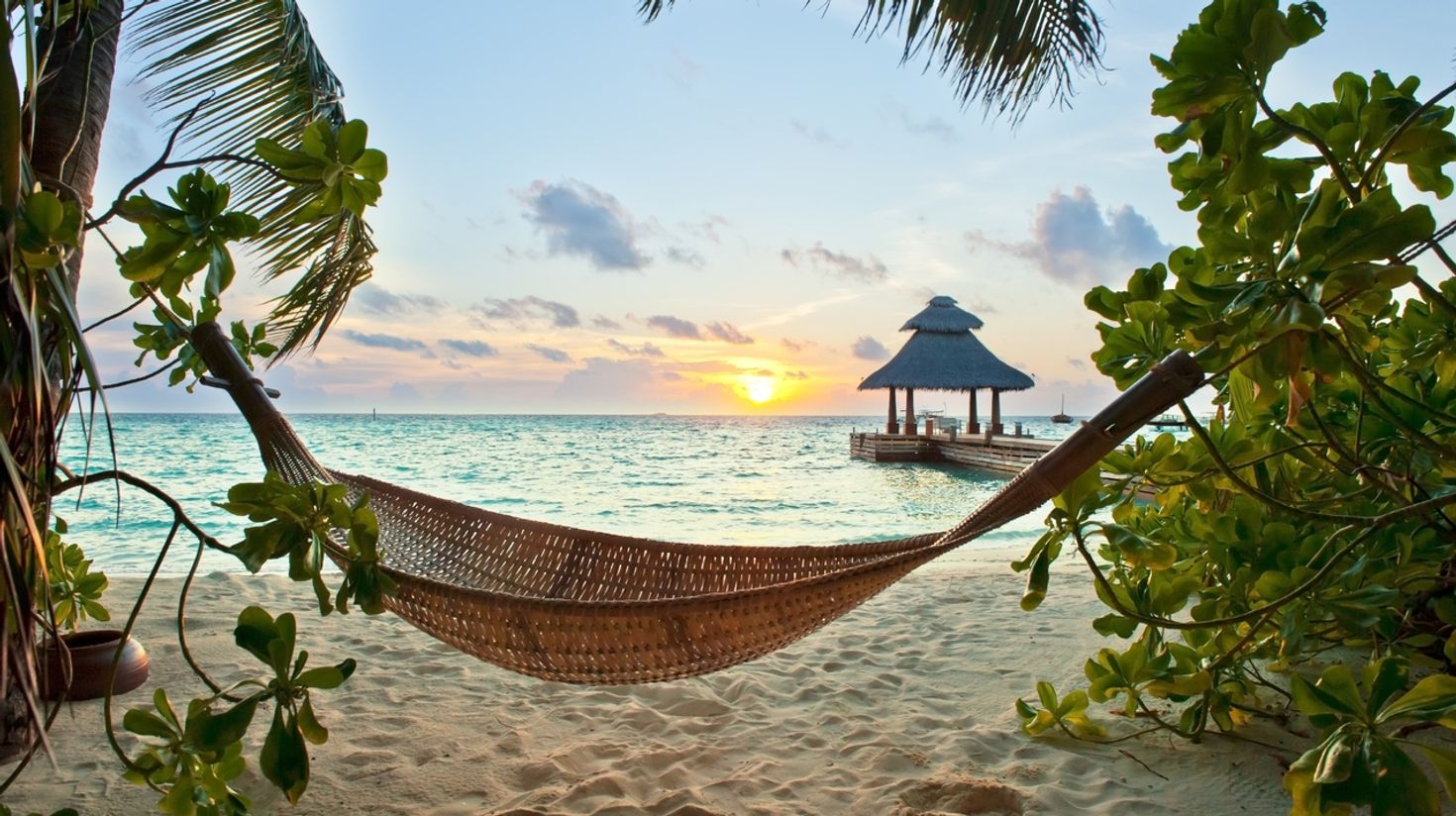 Banana Reef in Maldives is the best destination in Asia for honeymooners.