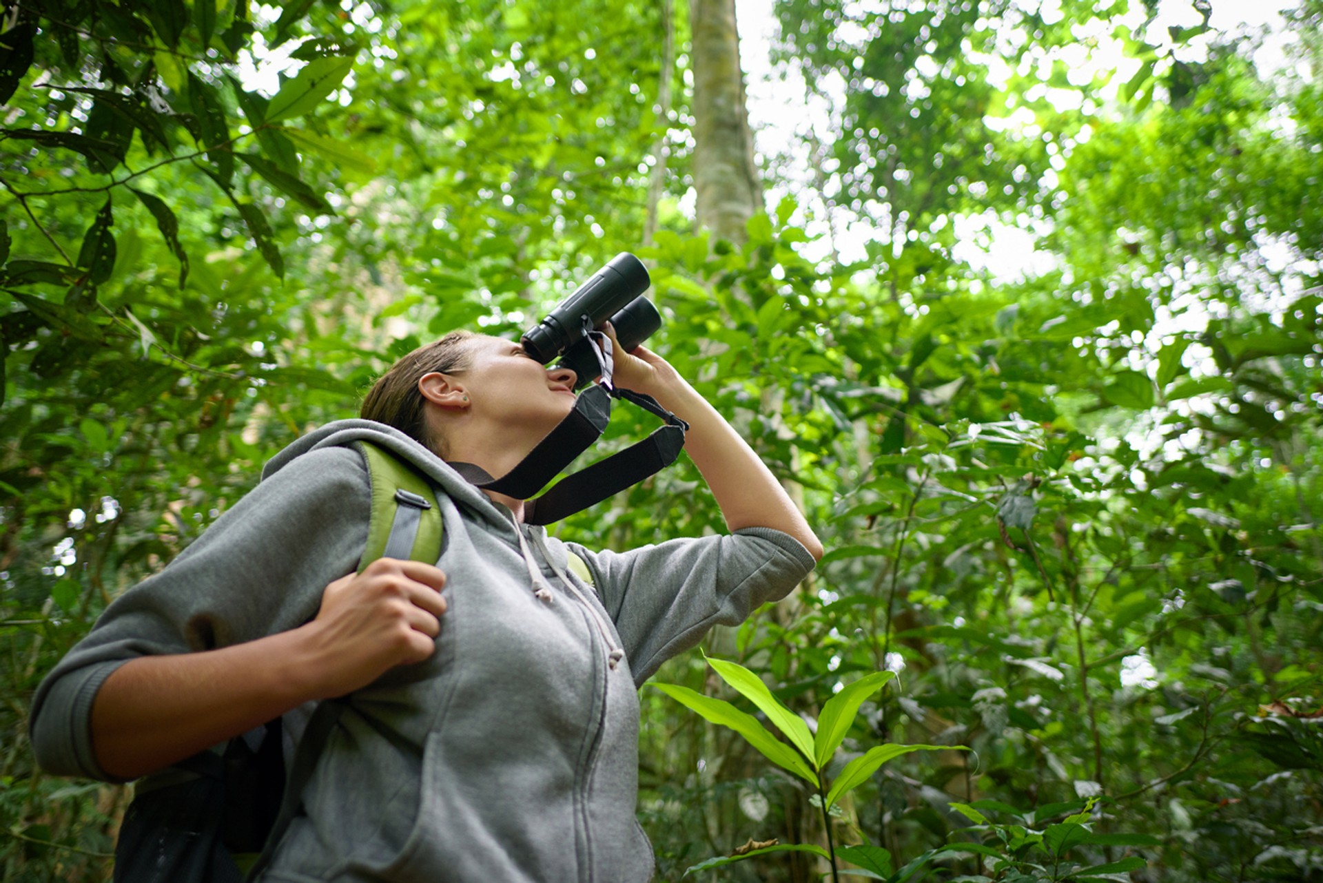 Take binoculars on a wildlife excursion in Costa Rica for better sighting. A tourist viewing wildlife in Costa Rica with binoculars.