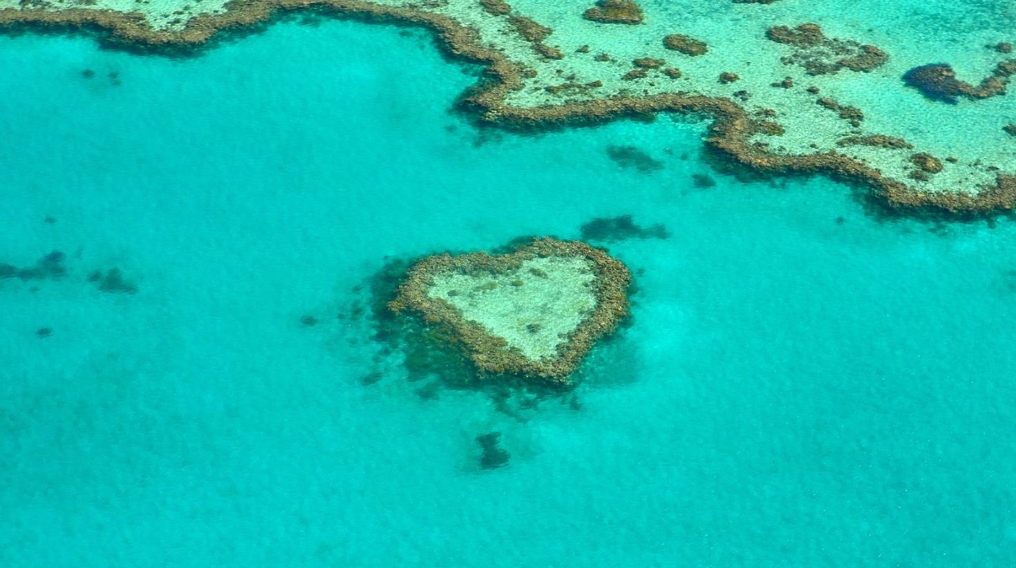 Heart reef at Whitsundays