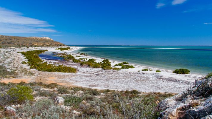 Monkey Mia is a peaceful destination in Western Australia.