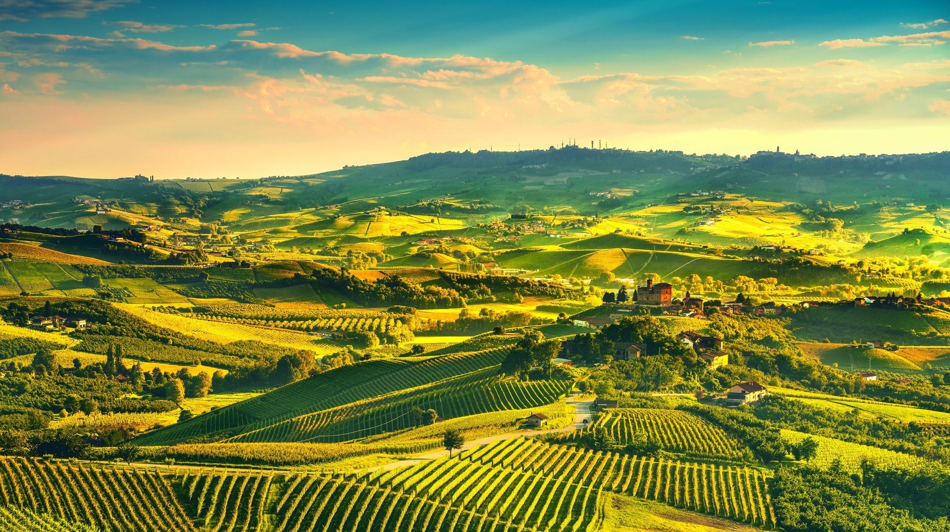 Immerse in the beauty of lush forests and blooming landscapes around the world in May. Panorama of Langhe vineyards during sunset in Northern Italy.