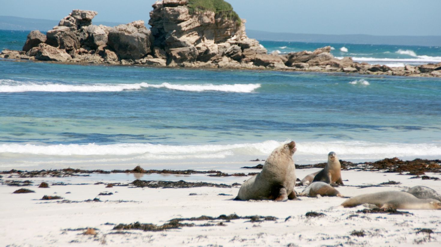 Kangaroo Island is one of the best destinations in South Australia.