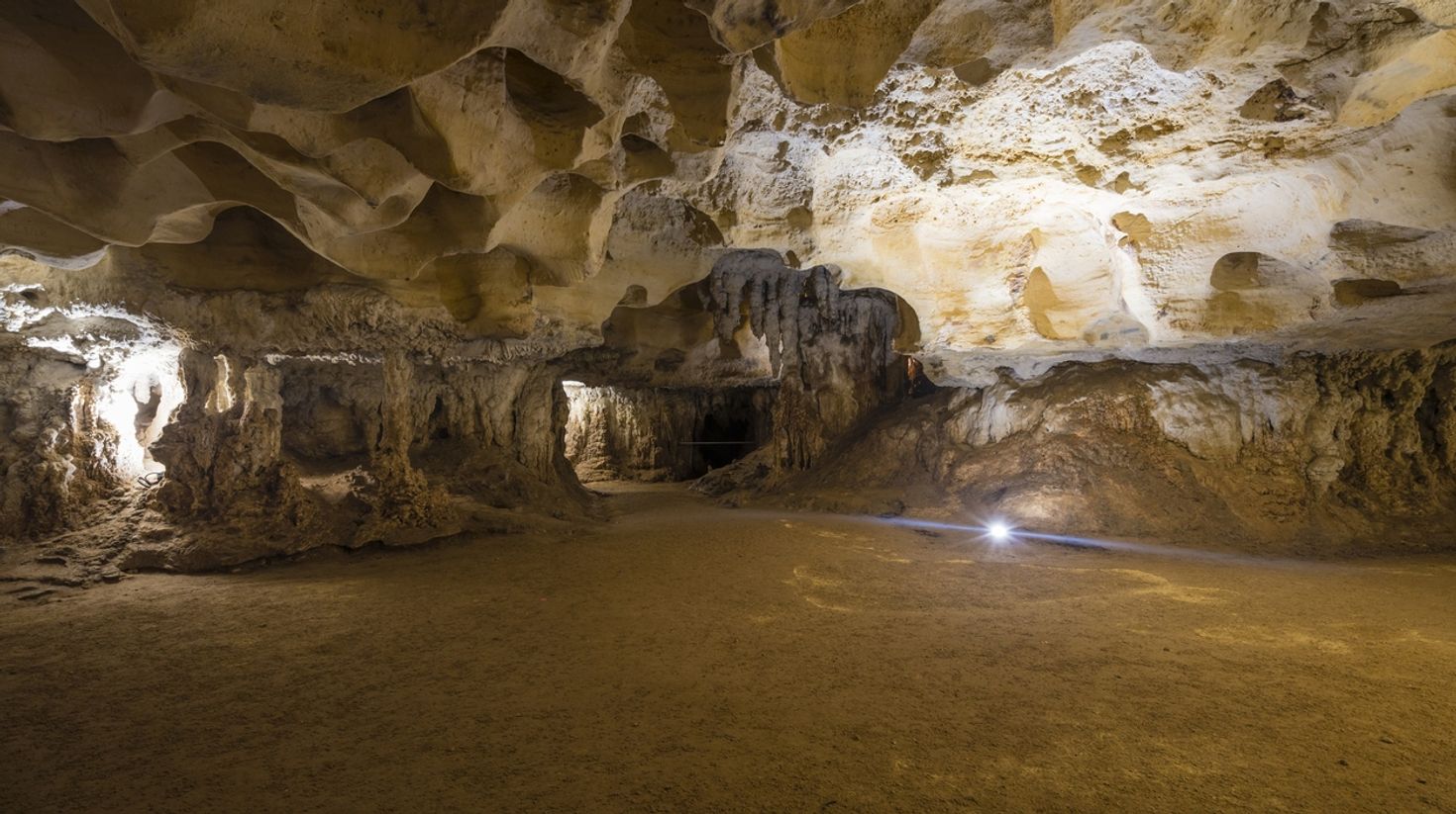 Naracoorte is one of the only UNESCO heritage sites in South Australia.
