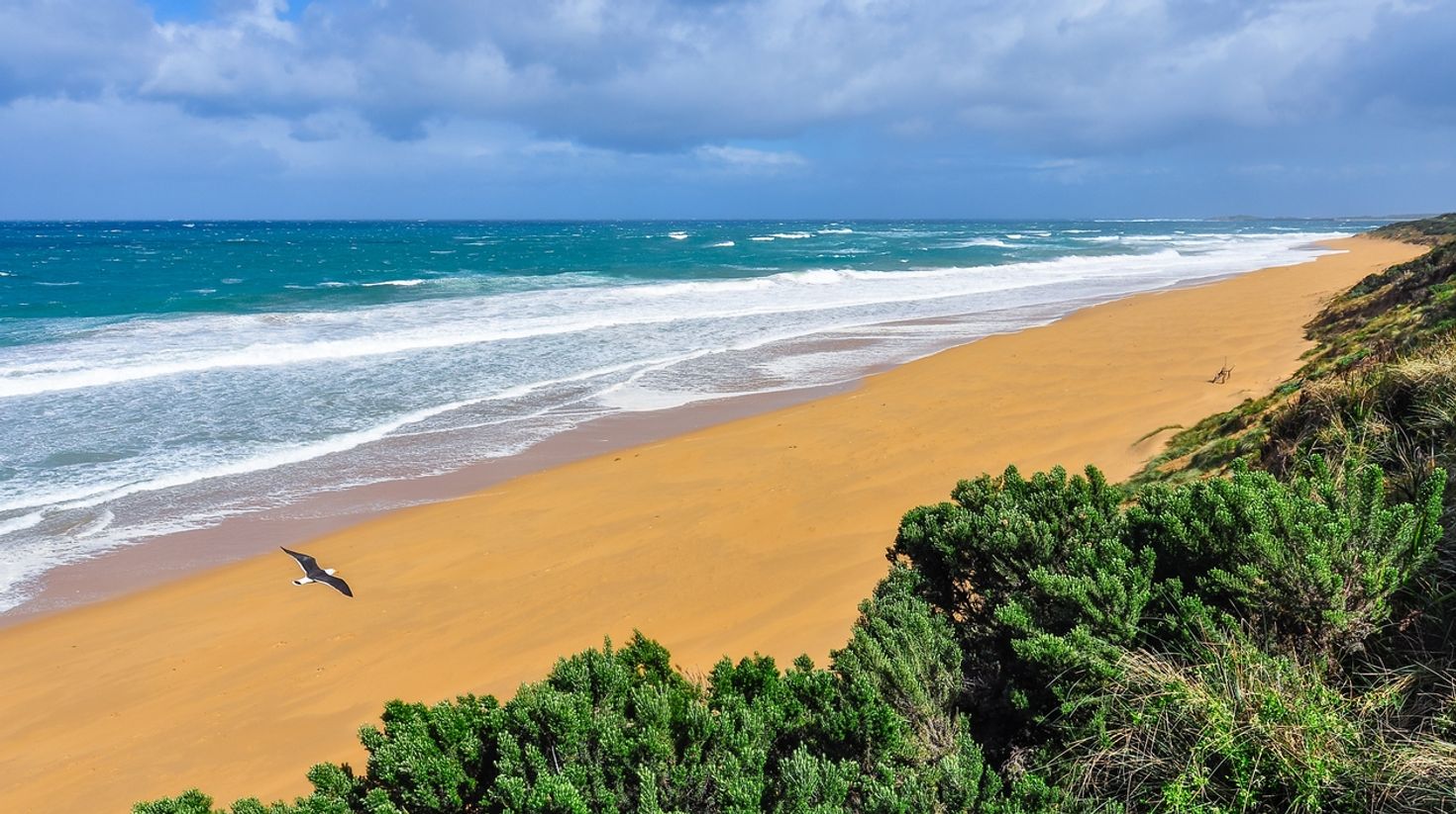 Warrnambool the best destination in South Australia for whale watching.