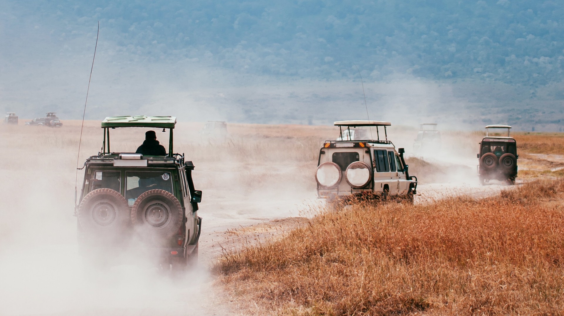 Go on a game drive to Serengeti—one of the best places to visit in Tanzania. Game drive to Serengeti—one of the best places to visit in Tanzania