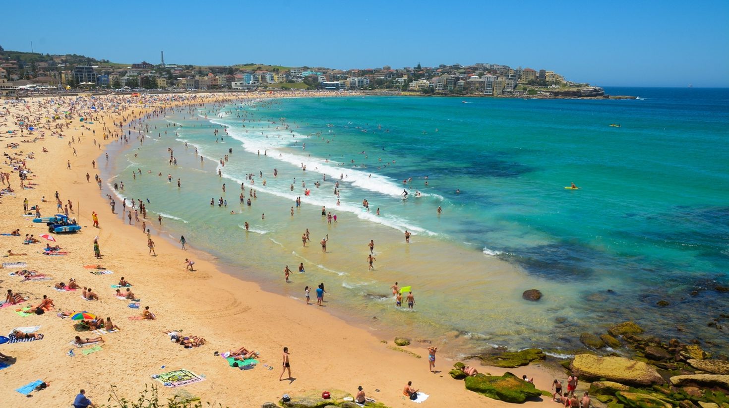 Bondi beach for surfing in Sydney