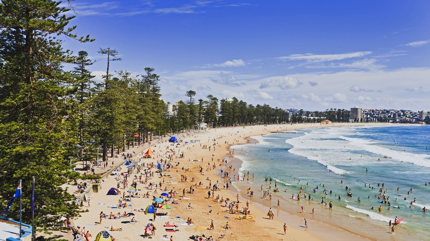Manly beach for surfing in Sydney