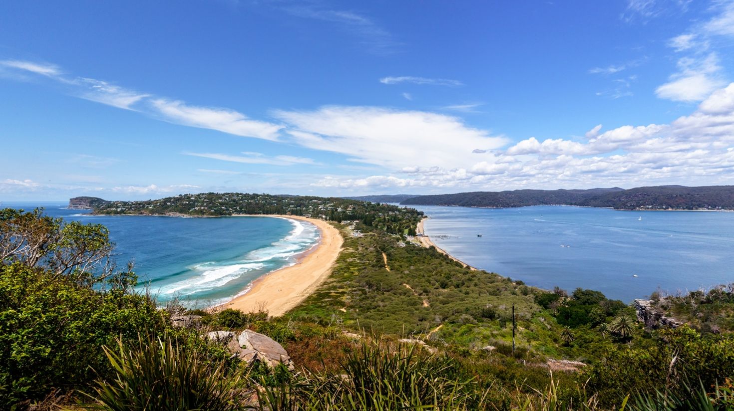Palm beach for surfing in Australia